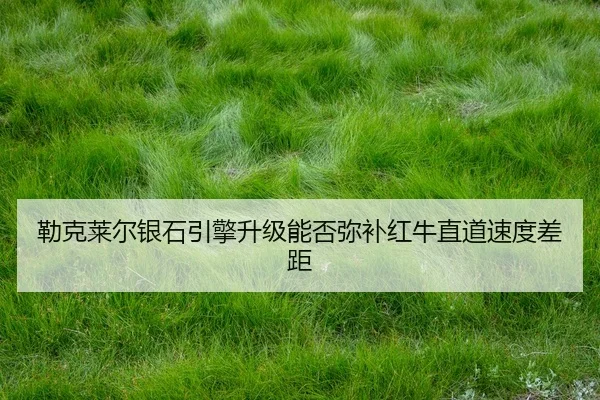 lei-ke-lai-er-yin-shi-yin-qing-sheng-ji-neng-fou-mi-bu-hong-niu-zhi-dao-su-du-cha-ju-2-884.jpg