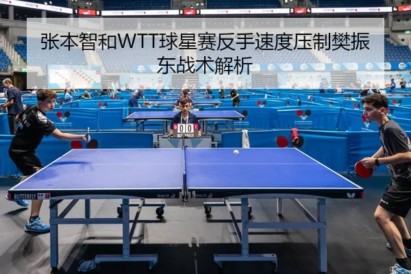 zhang-ben-zhi-he-qiu-xing-sai-fan-shou-su-du-ya-zhi-fan-zhen-dong-zhan-shu-jie-xi-3-611.jpg