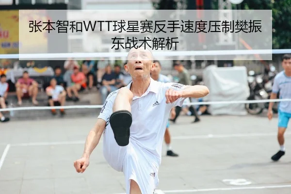 张本智和WTT球星赛反手速度压制樊振东战术解析