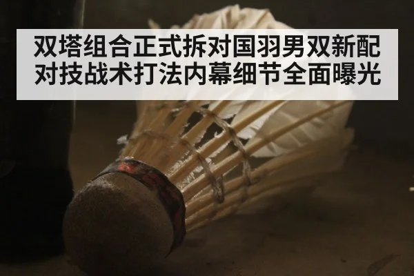双塔组合正式拆对国羽男双新配对技战术打法内幕细节全面曝光